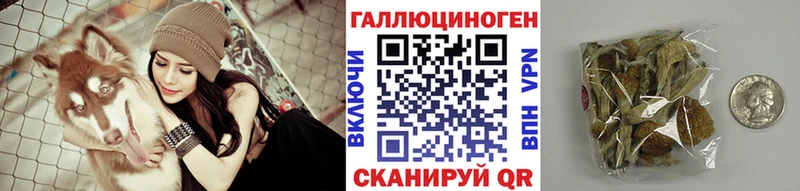 Псилоцибиновые грибы Cubensis  цена   Сергач 
